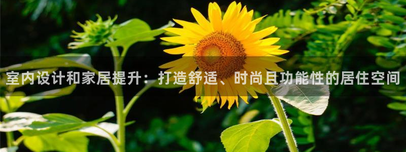 ug环球xkk908搜徽