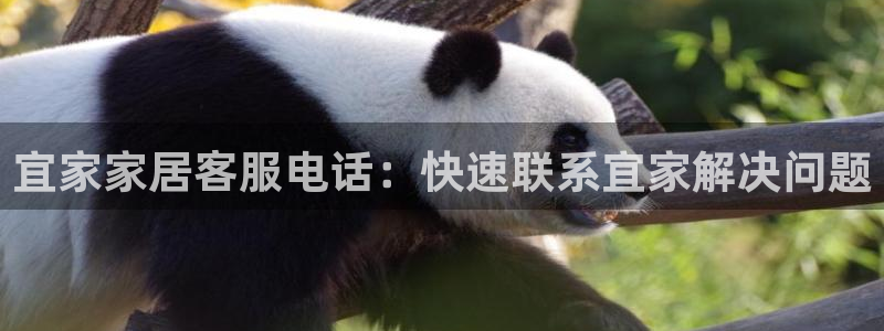 ug环球网站
