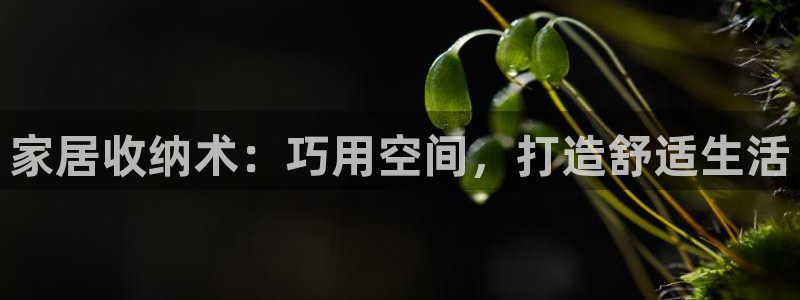 ug环球去唯xkk908