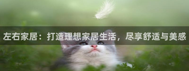 UG环球假网一比一包杀网