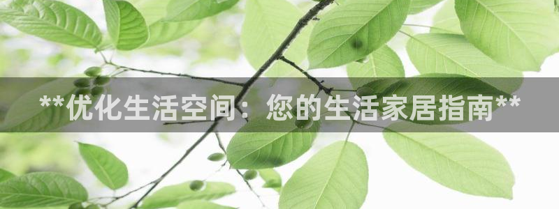 UG环球假网合作