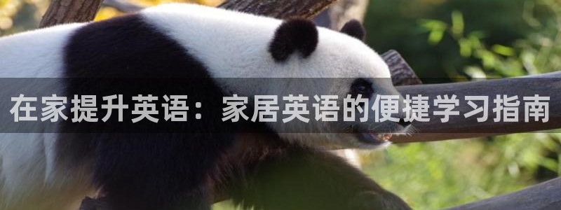 ug环球官网24小时