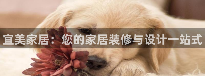 ug环球官网开户