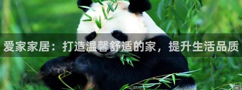 ug环球网站