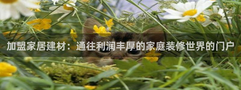 ug环球密码重置是多少位数啊