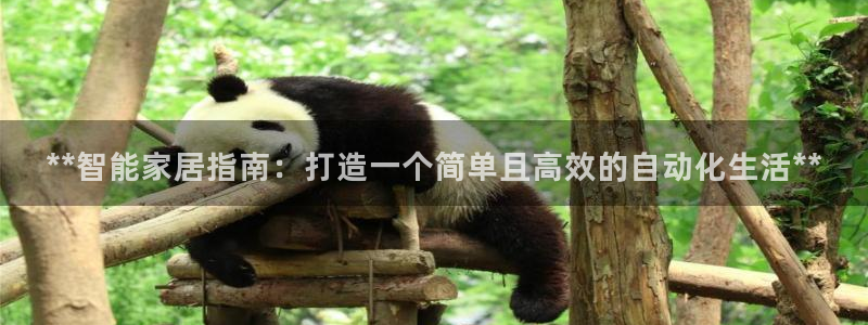 ug环球代理加盟