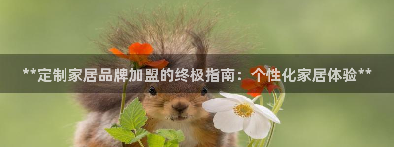 ug环球代理