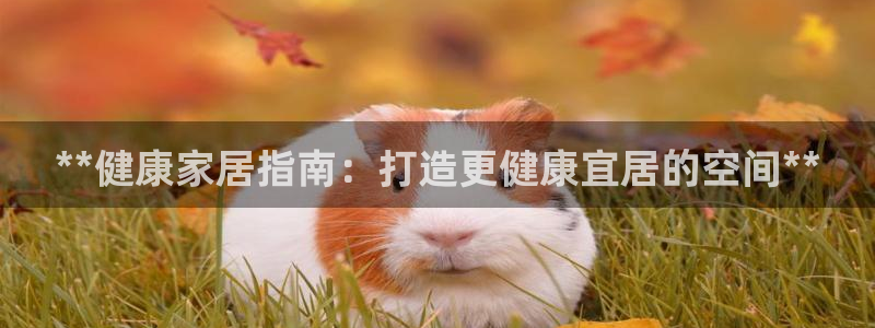 ug环球正网包杀