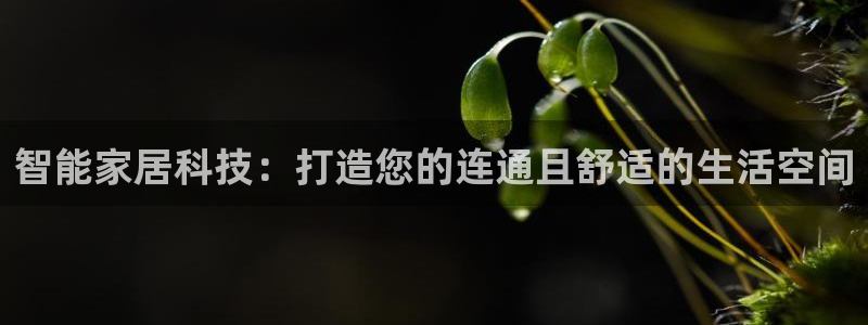 ug环球会员官方客服电话