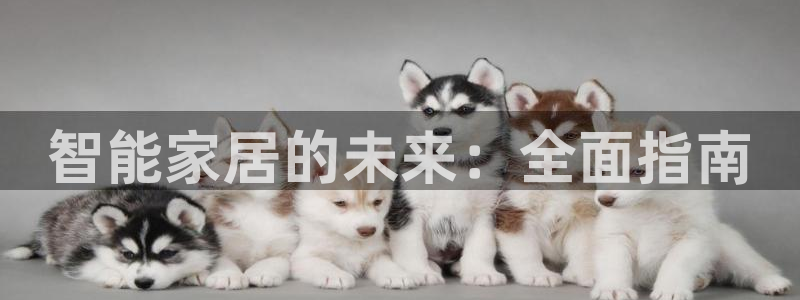 ug环球会员手机版下载官网
