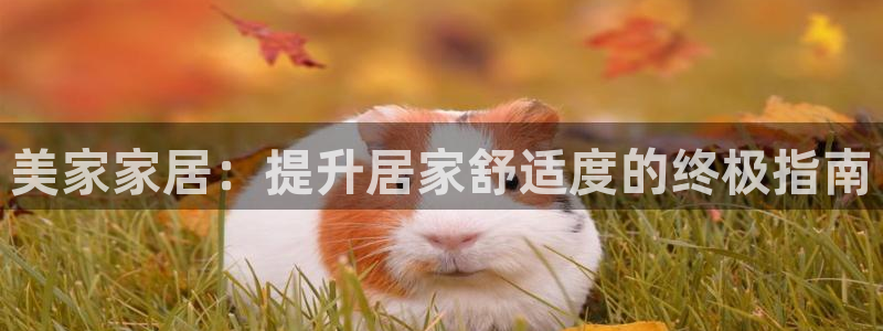 ug环球360官网