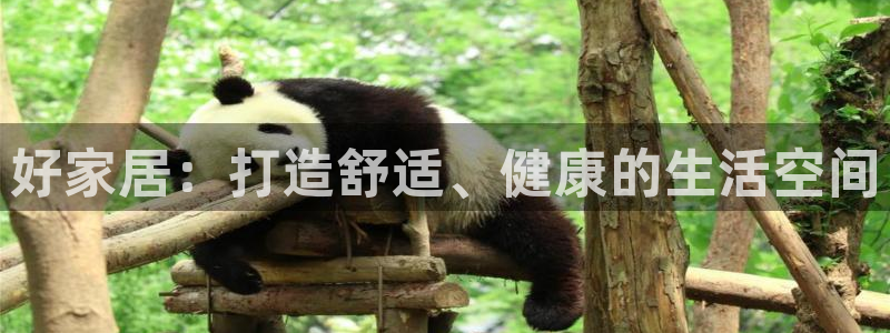 ug环球官网开户