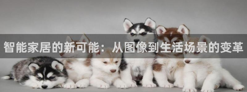 ug环球包杀网一比一