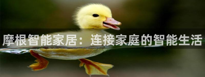 ug环球视讯官网