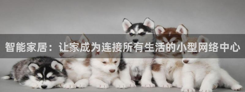 ug环球地址在哪里