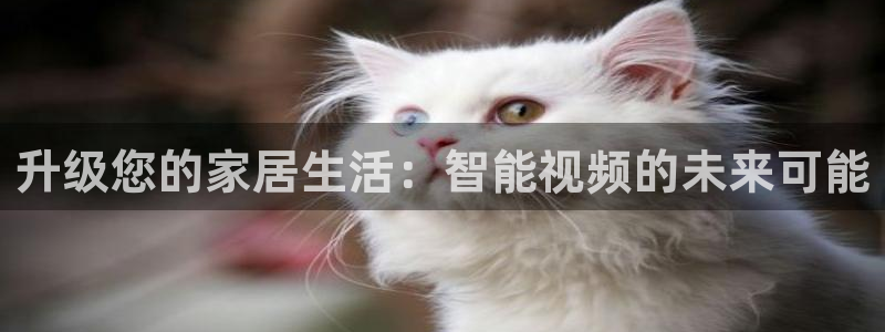 ug环球正网一比一