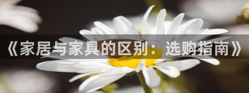 ug环球视讯延时软件