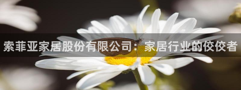 UG环球官网
