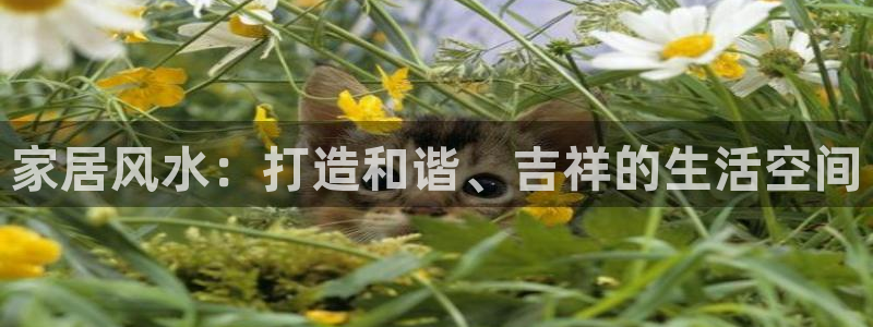 ug环球视讯