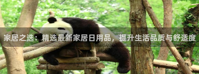 uG环球网站